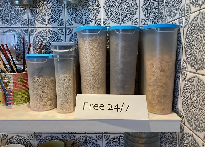 Lotte - The Backpackers Albergue Heidelberg