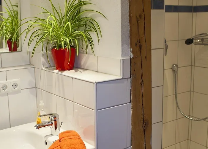 Lotte - The Backpackers Albergue Heidelberg