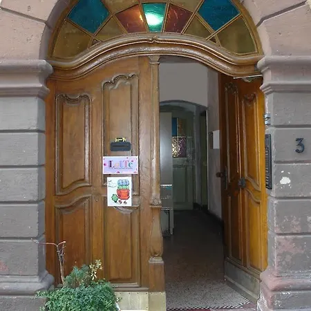 Vandrerhjem Lotte - The Backpackers Heidelberg