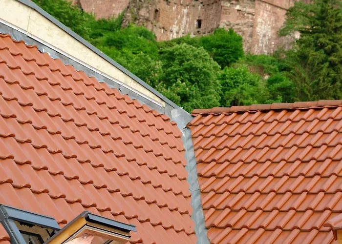 بيت شباب لوت - ذاباك باكرز *