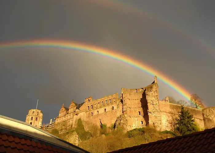 Lotte - The Backpackers Hostal