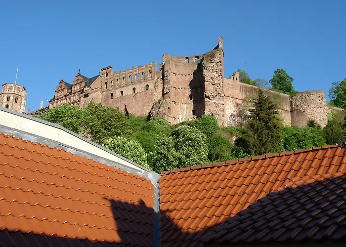 Lotte - The Backpackers Heidelberg