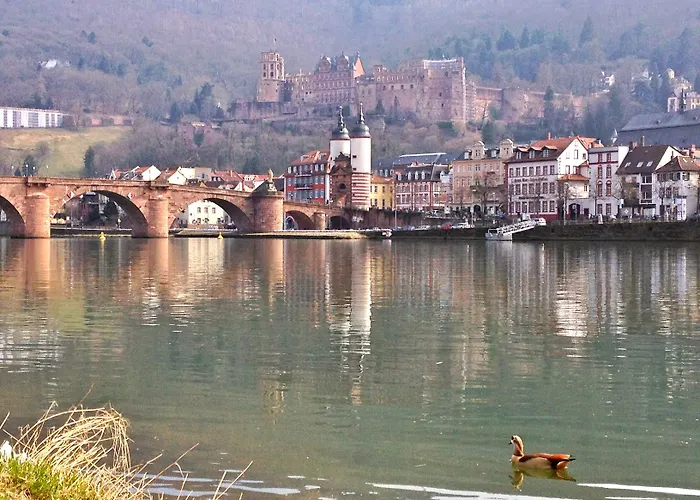 لوت - ذاباك باكرز