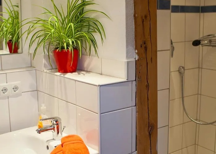 Hostal Lotte - The Backpackers