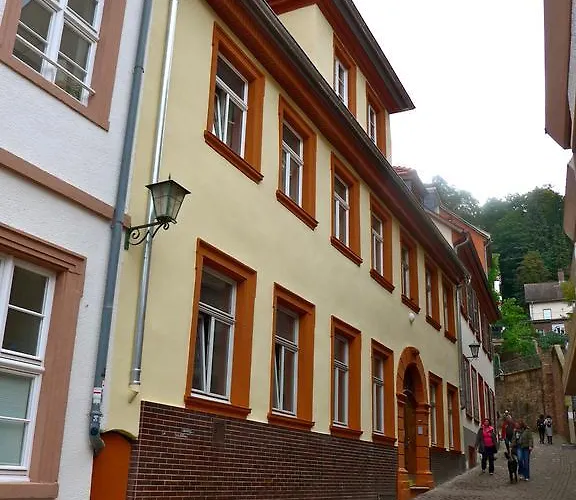 لوت - ذاباك باكرز