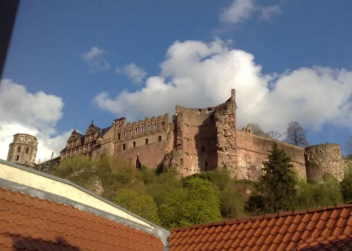 Lotte - The Backpackers Hostal Heidelberg