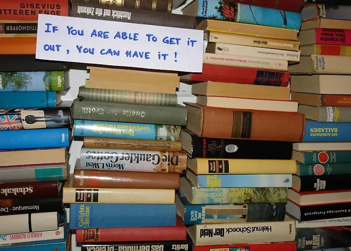 Lotte - The Backpackers Hostel