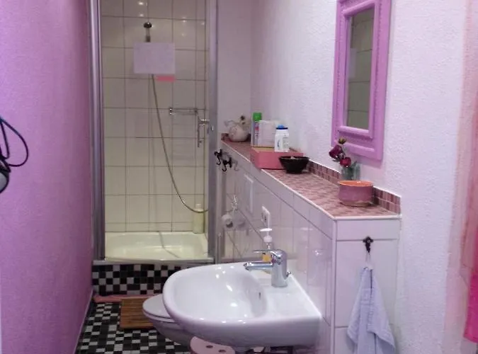 لوت - ذاباك باكرز